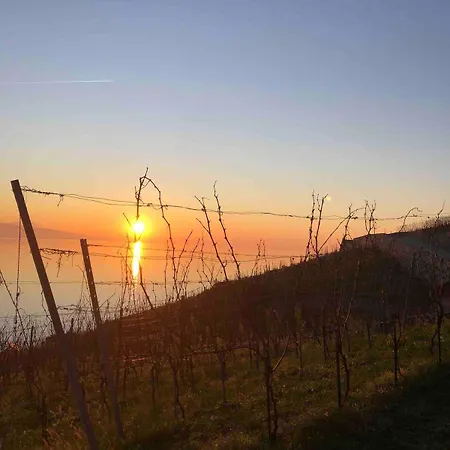 Apartment In Grandvaux Cully